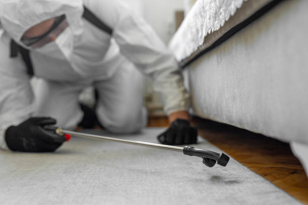 Professional Bed Bug Control technician working in Edinburgh, IN