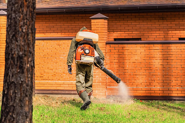 Trusted Mosquito Control service in Edinburgh, IN - Nex Pest Control